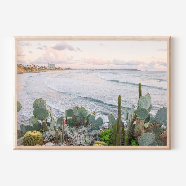 San Diego Bird Rock Sunset Photo, La Jolla Cactus Succulent Wall Art, Ocean Surfer Waves, Pacific Beach View, Coastal Decor, Pastel