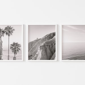 Puede incluir: Un conjunto de tres fotografías en blanco y negro que muestran escenas costeras. La primera fotografía muestra palmeras contra un cielo azul y el océano. La segunda fotografía muestra un acantilado rocoso. La tercera fotografía muestra un océano tranquilo con un cielo brumoso.