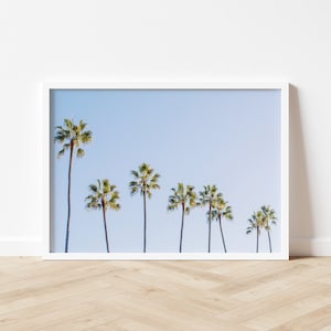 Puede incluir: Una impresión enmarcada de una fila de palmeras contra un cielo azul claro. Los árboles están silueteados contra el cielo, creando un diseño simple y elegante.