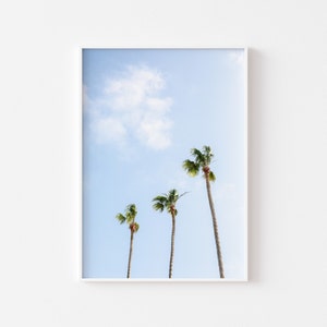 Puede incluir: Tres palmeras silueteadas contra un cielo azul con nubes blancas.