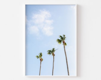 Sunset Cliffs Palm Trees Print, La Jolla Wall Art, San Diego Photography, Beach House Interior, Coastal Boho Decor