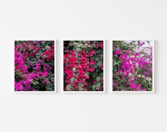 Set of 3 Bougainvillea Prints, Big Island Hawaii Wall Art, Tropical Botanical Photo, Boho Coastal Decor, Pink Fuchsia Floral