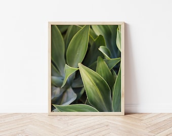 Hawaii Agave Digital Print, Botanical Print, Agave Print, Boho Decor, Boho Digital Print, Botanical Decor, Hawaii Print, Tropical Decor