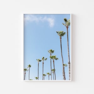 Puede incluir: Impresión enmarcada que muestra una fila de altas palmeras contra un cielo azul claro. Las palmeras tienen hojas verdes y troncos marrones texturizados. Se ven algunas nubes blancas en el cielo.