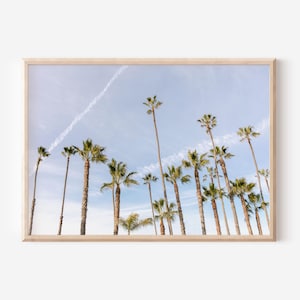 San Diego Palm Tree Poster, Pacific Beach Photo, Tropical Tree Art, Belmont Park, Coastal California Decor, La Jolla, Coronado Island