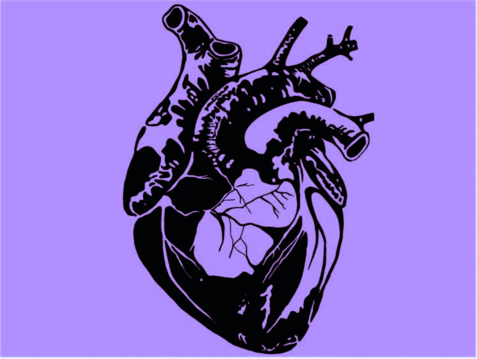 Illustration human heart eps 10 vector stock vector 105961586