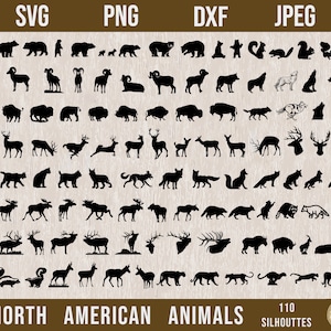 Pacote SVG de animais da América do Norte, SVG de vida selvagem da América do Norte, Forest Animals Svg, Wild Animals Svg, Bear Svg, Deer Svg, Fox Svg, Moose Svg,