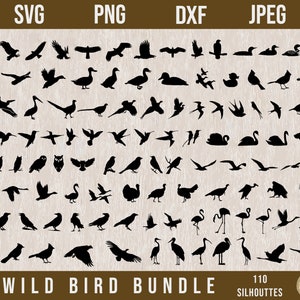 Nordamerikanische Vögel SVG, SVG Vogel, Vogel Kontur SVG, Kolibri SVG, Enten SVG, Adler SVG, Gänse SVG, Lasercut Dateien