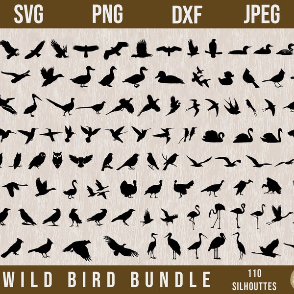 Wild Bird SVG Bundle, North American Birds Svg,SVG bird,Bird Silhouette Svg,Humming Bird svg,Duck svg,Eagle svg,Goose SVG,Lasercut files