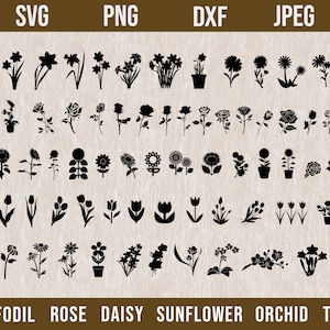 Flowers SVG Bundle,Wildflower SVG,Flowers Svg, Rose Svg,Orchid svg,Sunflower svg,Daisy svg,Tulip svg,Flower svg Cricut,svg Flower Designs