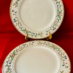 Set of 2 dinner plates by Farberware in the Wellesley pattern.