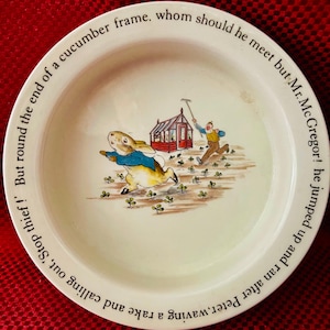 Peter Rabbit collection bowl by Wedgewood!