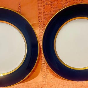 May include: Two matching ceramic plates. Each plate has a white center, a navy blue border, and a gold-colored trim. The plates are round and are displayed on an orange surface.