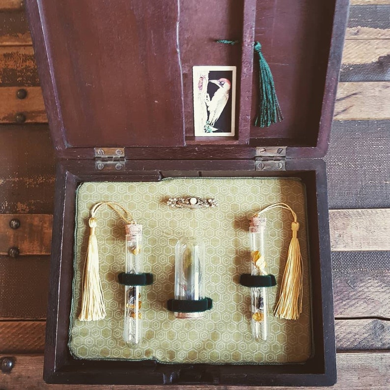 Victorian restored curio box. Curiosity curiosities specimens. Etsy