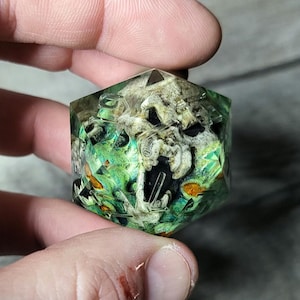 Può includere: Un dado trasparente multiforme con un designo di teschio verde, arancione e bianco all'interno. Il teschio è dettagliato e sembra essere fatto di osso.