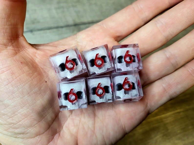 d6 dice set with white skull inside and red numbers
