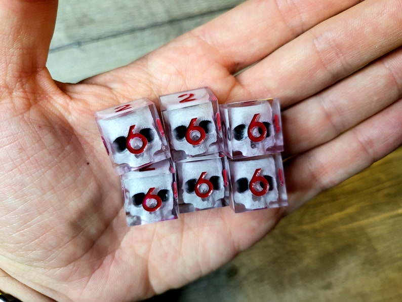d6 dice set with white skull inside and red numbers