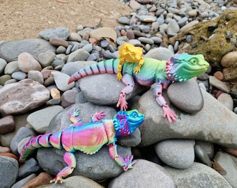Bearded Dragon Lizard Fidget Toy - Lizard Toy - 3D Printed