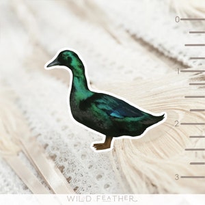 Funny Duck House Sign Waddle on Inn Backyard Duck Gift Funny Duck Coop  Décor Homestead Sign Funny Farmhouse Sign -  Norway