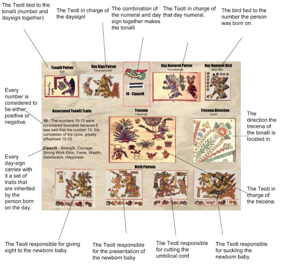 Cycles of Time and Meaning in the Mexican Books of Fate (Joe