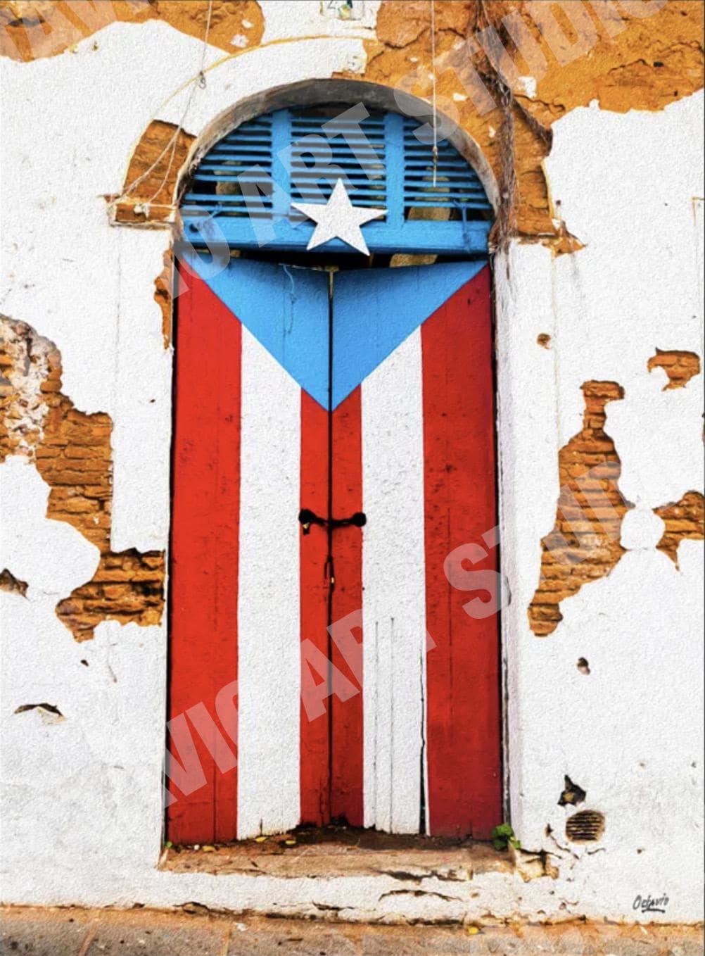 It's in my DNA Puerto Rico Flag Fingerprint Shirt