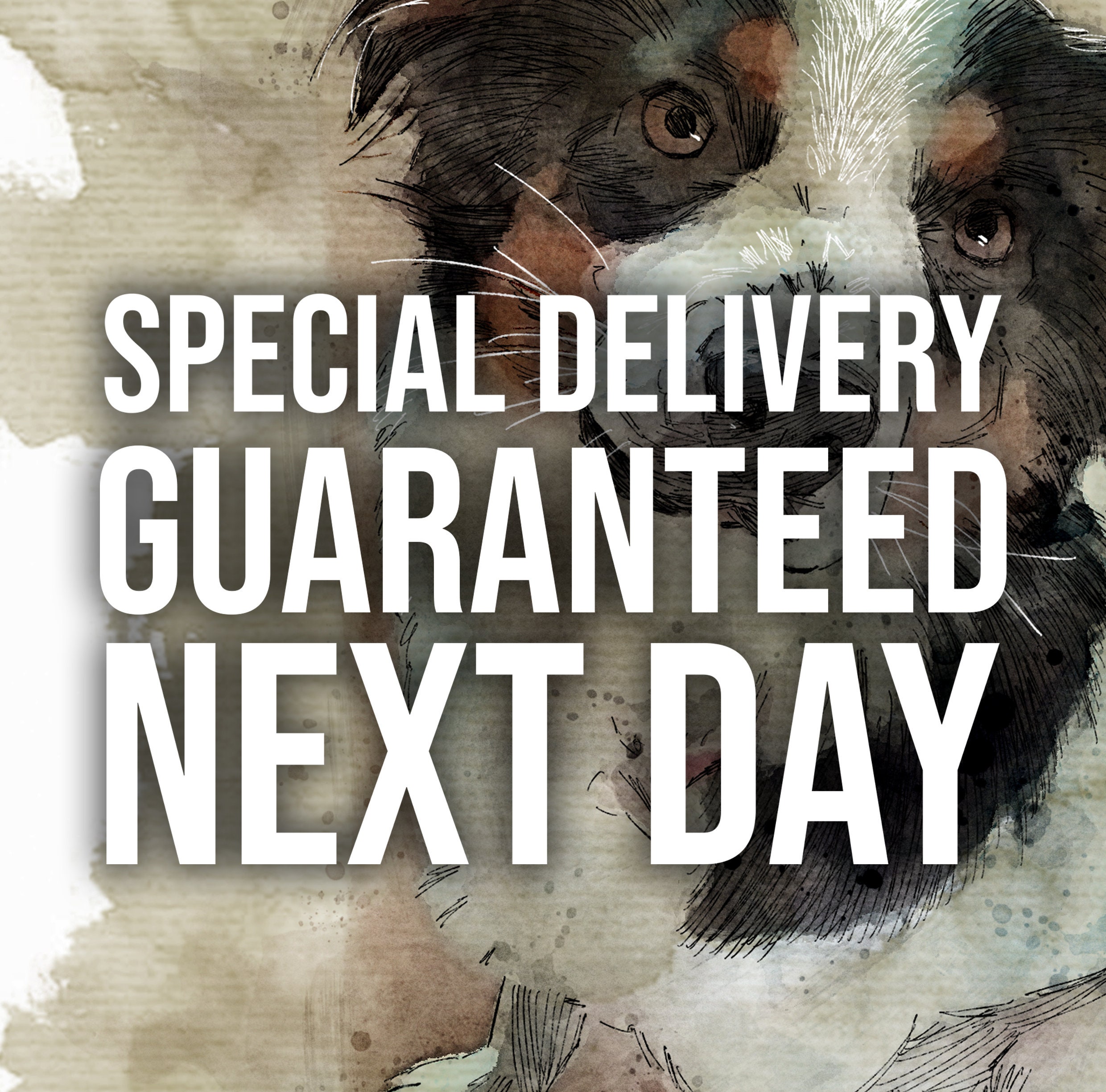 Special Delivery Guaranteed Next Day Etsy