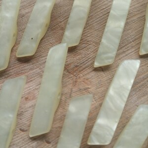 Könnte beinhalten: Eine Sammlung von 10 glatten, cremefarbenen, rechteckigen Knöpfen mit Perlmutt-Finish.