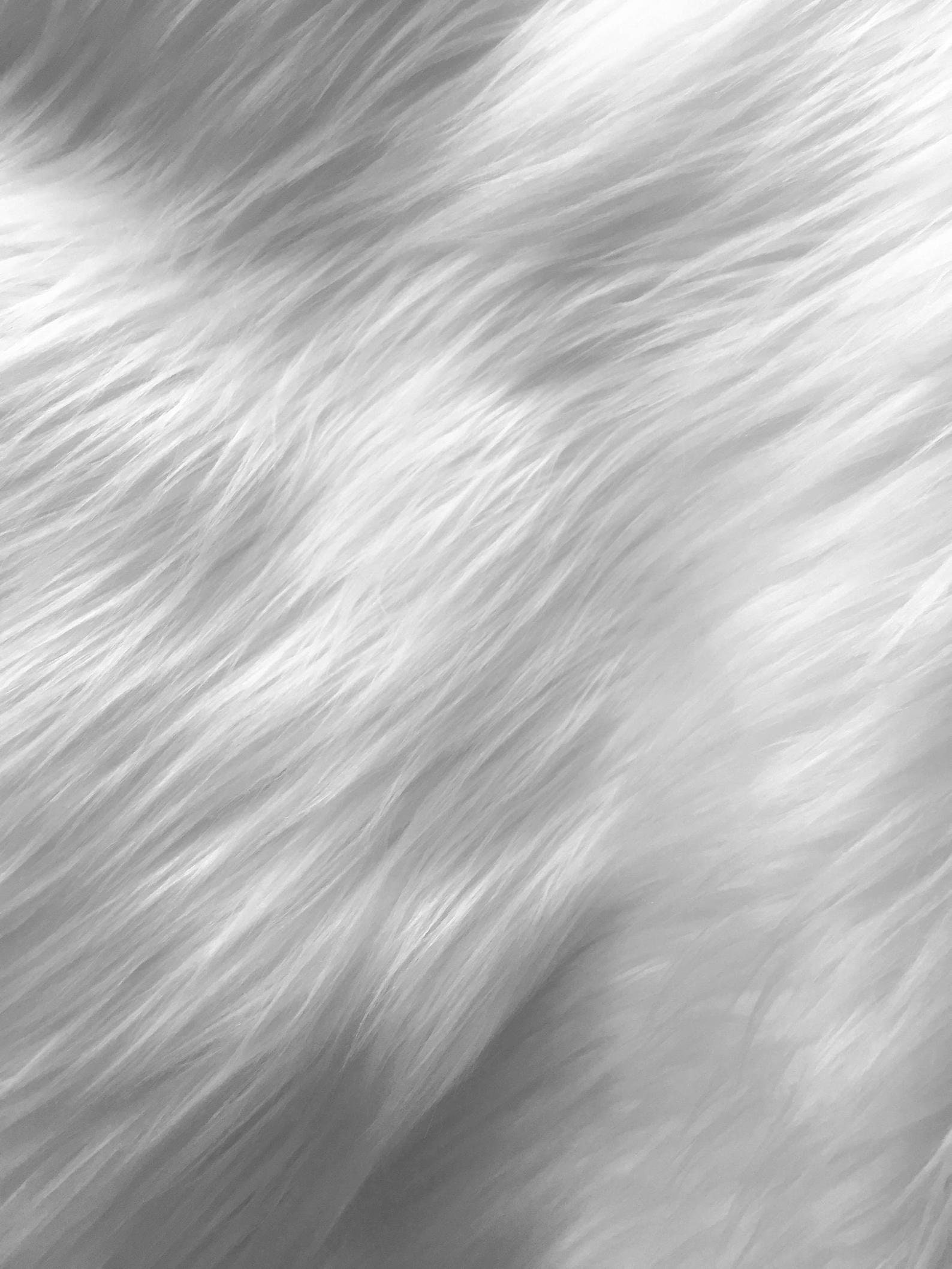 White Fur Fabric 