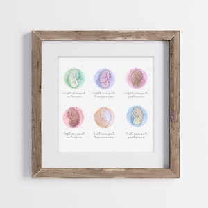 Fetal Position Watercolor Art Print, OB/GYN Watercolor Art, Midwife Watercolor Art, Midwife Gift, Doula Gift, Student Midwife, Student OB