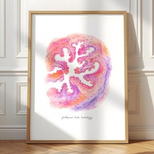 May include: A framed print featuring a watercolor illustration of fallopian tube histology. The artwork displays a cross-section with intricate pink, orange, and purple organic shapes on a white background, with the text fallopian tube histology.