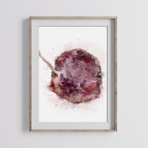 Premium Placenta Watercolor Painting Print, Placenta Art, OBGYN Gift, OBGYN Art, Doula Art, Doula Gift, Midwife Art, Midwife Gift,