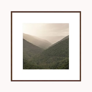 West Virginia Print, Nature Photography, Woodland Print, Forest Photography, West Virginia Mountain Print, Forest Print, Sunrise Photo Art