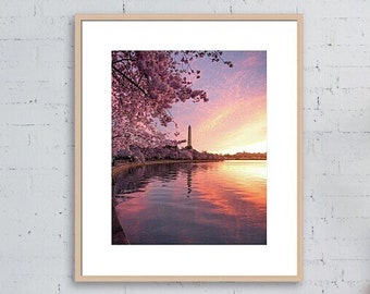 Travel Photo, Cherry Blossom Print, Spring Flower Print, Washington DC Photo, Cherry Blossom Photo, Washington DC Print, Pink Flower Decor