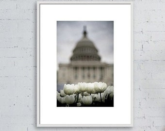 Spring Flower Print, Washington DC Photo, Capitol Dome Wall Art, Washington DC Print, Spring Cityscape Photo, Tulip Print, Travel Photo Art