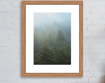 Great Smoky Mountains National Park, Forest Photography, National Park Print, North Carolina Mountains, Woodland Prints, Nature Photography