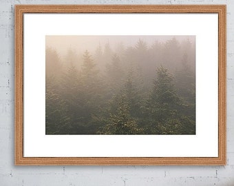 Great Smoky Mountains National Park, Forest Photography, North Carolina Mountain Wall Art, Woodland Print, Forest Print, National Park Photo