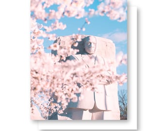 Cherry Blossom Card Set, Washington DC Cards, Thank You Cards, Cherry Blossom Greeting Card, Spring Flower, Washington DC Greeting Card Set