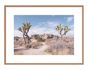 Desert Print, Joshua Tree National Park Photo, Travel Photography, California Art, Nature Photography, Desert Wall Art, Landscape Photo Art