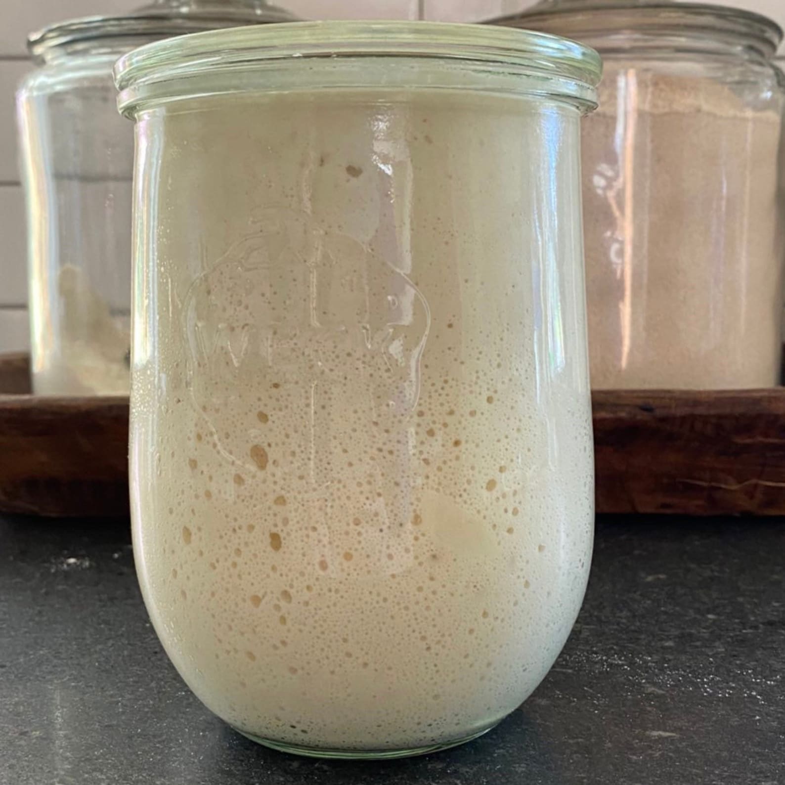 Beginners Sourdough Starter Kits in Weck Jar Classic or Gluten Free