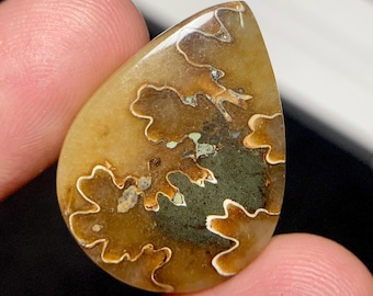 Ammonite Cabochons, Natural Ammonite Leaf 27x20x5mm Unique & Rare Wave Design Ammonite Fossil 25crt Cabs For Jewelry, Power Rock Crystal 110