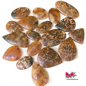 Peut inclure: Une collection de 17 cabochons d'ammonite fossilisés en forme de larme, polis, dans des tons de brun, orange et or. Les cabochons présentent un motif unique et tourbillonnant.