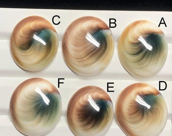 May include: Six iridescent abalone shell cabochons in various shades of brown, green, and white. The cabochons are arranged in two rows of three, labeled A through F.