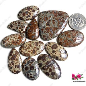 Asteroid Jasper Cabochons, Wholesale Lot By Weight With Different Shapes And Sizes Used For Jewelry