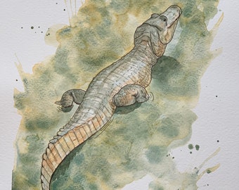 Swamp Chomper - Original Watercolor 9x12 Crocodile Painting