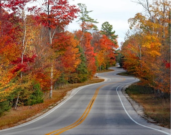 Herbstfarben der Swervy Road, Door County, Wisconsin