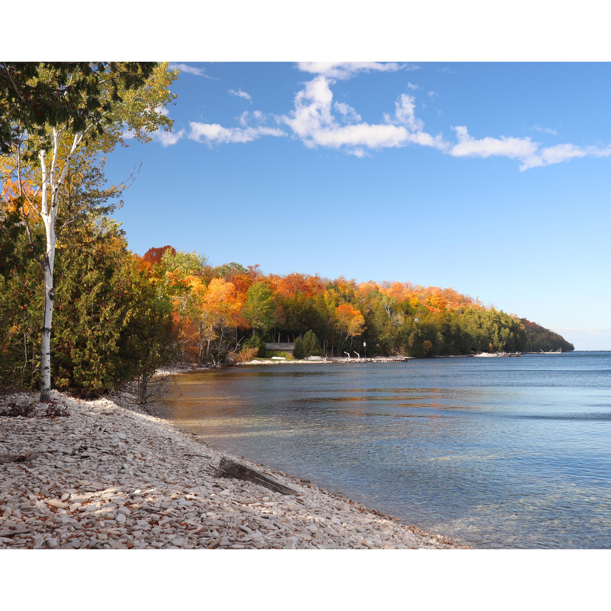 Colores de otoño en Garrett Bay, condado de Door, Wisconsin