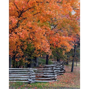 Fall Colors Split Sail Fence, Door County, Wisconsin