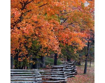Herbstfarben Split-Segelzaun, Door County, Wisconsin