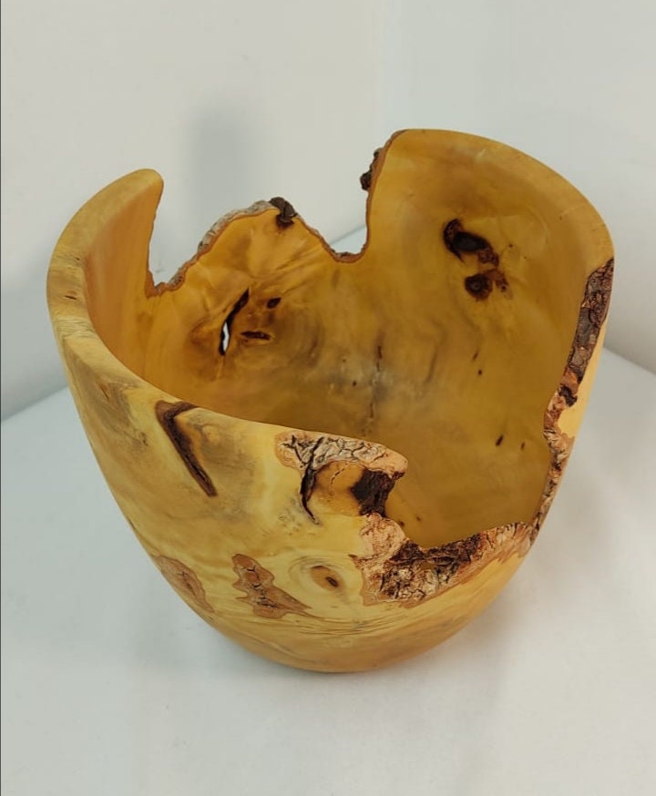 Racine de Buis Tournée