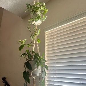 May include: Two potted plants hanging from a macrame plant hanger. The plants are trailing down from the pots. The hanger is made of natural colored rope and has a tassel at the bottom. The plants are in white pots and are hanging in front of a window with white blinds.